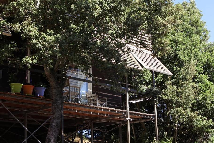 Li Pireddi Villa Aglientu Ngoại thất bức ảnh